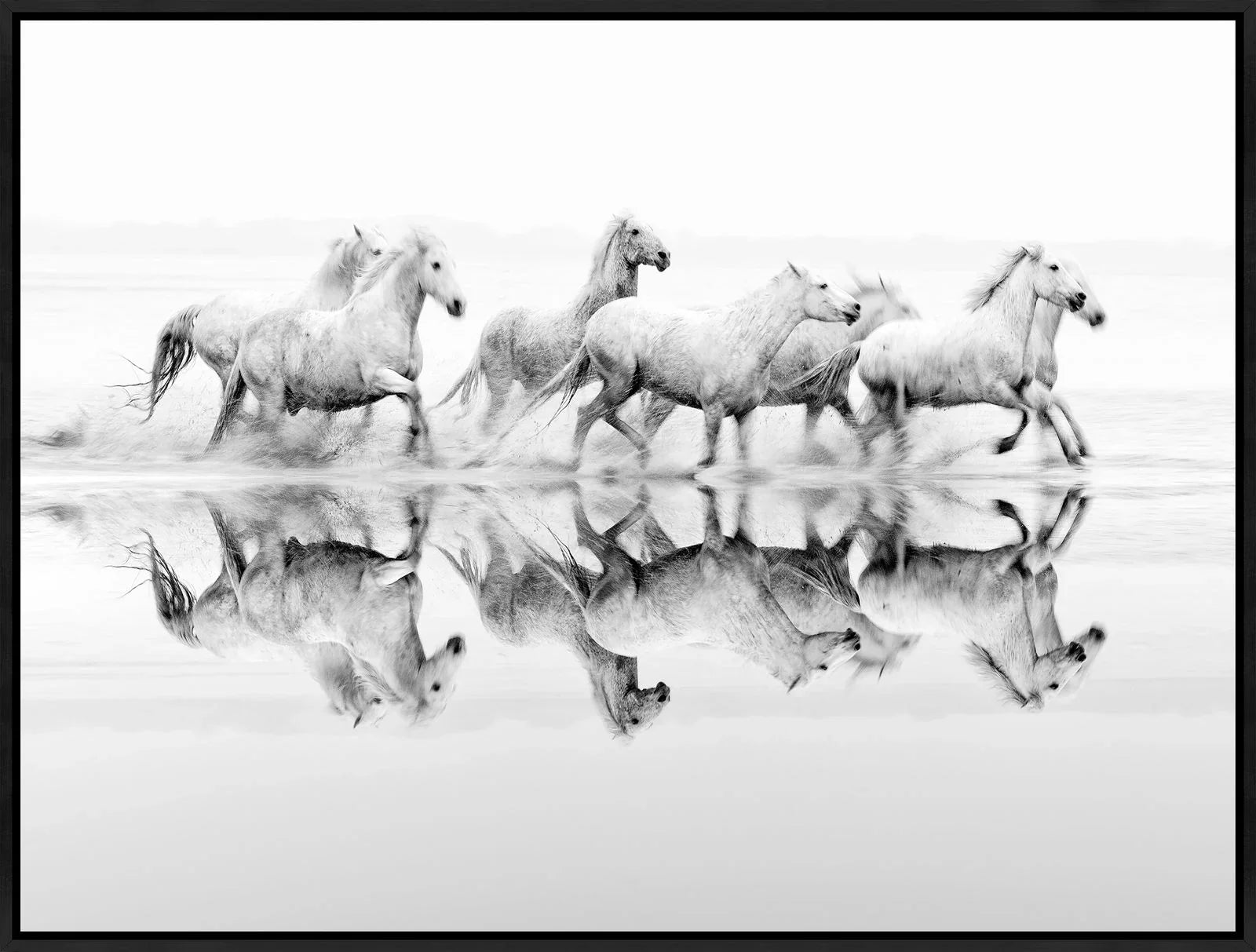 White horses running in water canvas art - Your Western Decor