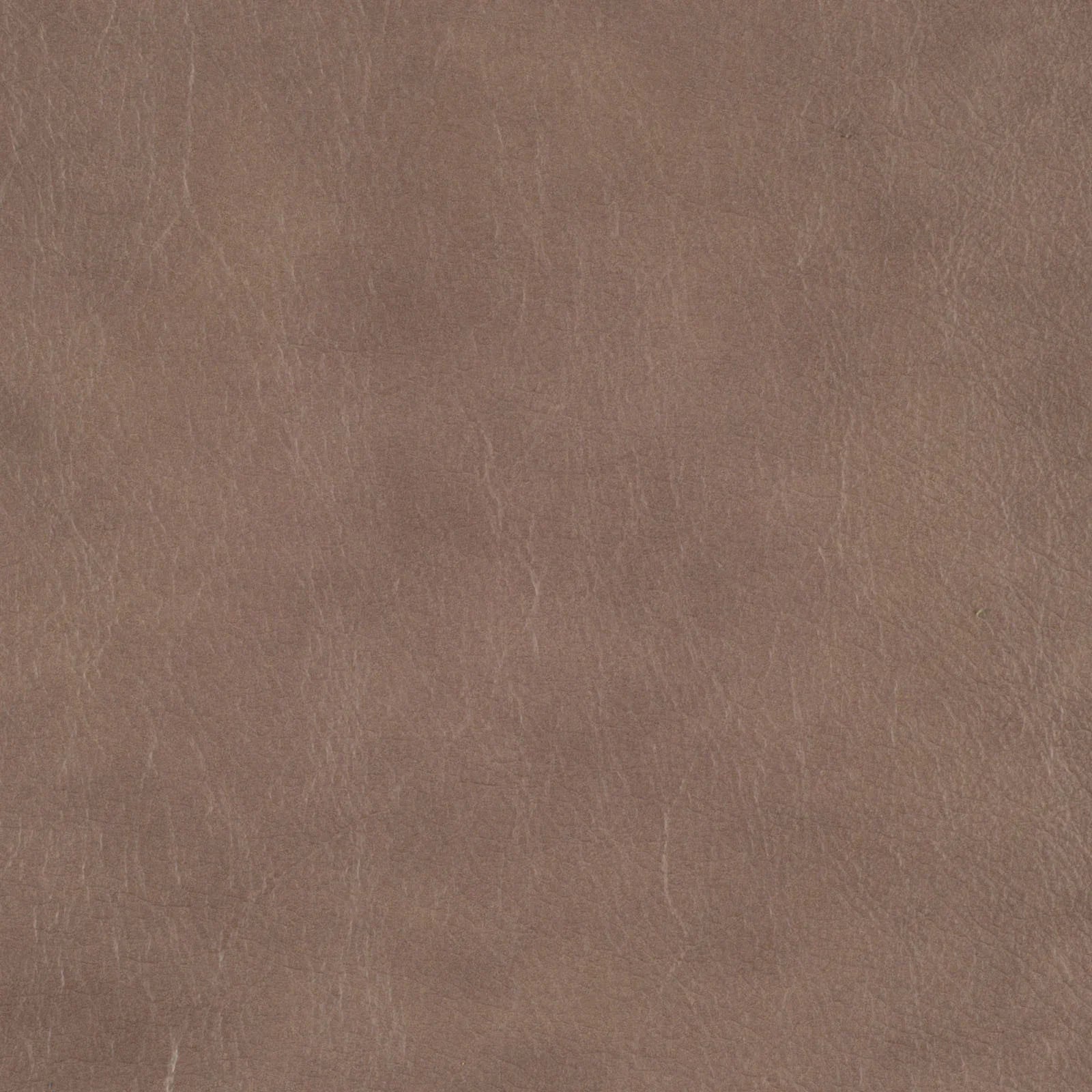 flint rock taupe leather sample
