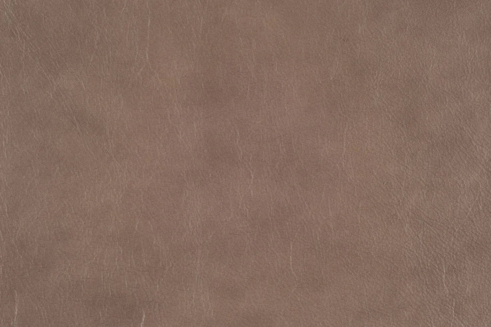 Renaldi Flint Rock Leather Sample - Your Western Decor