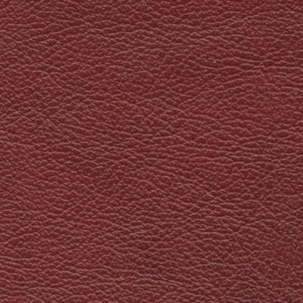 Detailed image of Salvador red leather sample
