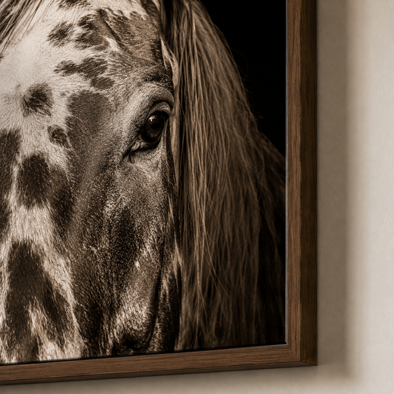 Spirit of the Nez Perce Canvas Art featuring a close-up portrait of a Nez Perce Appaloosa horse.