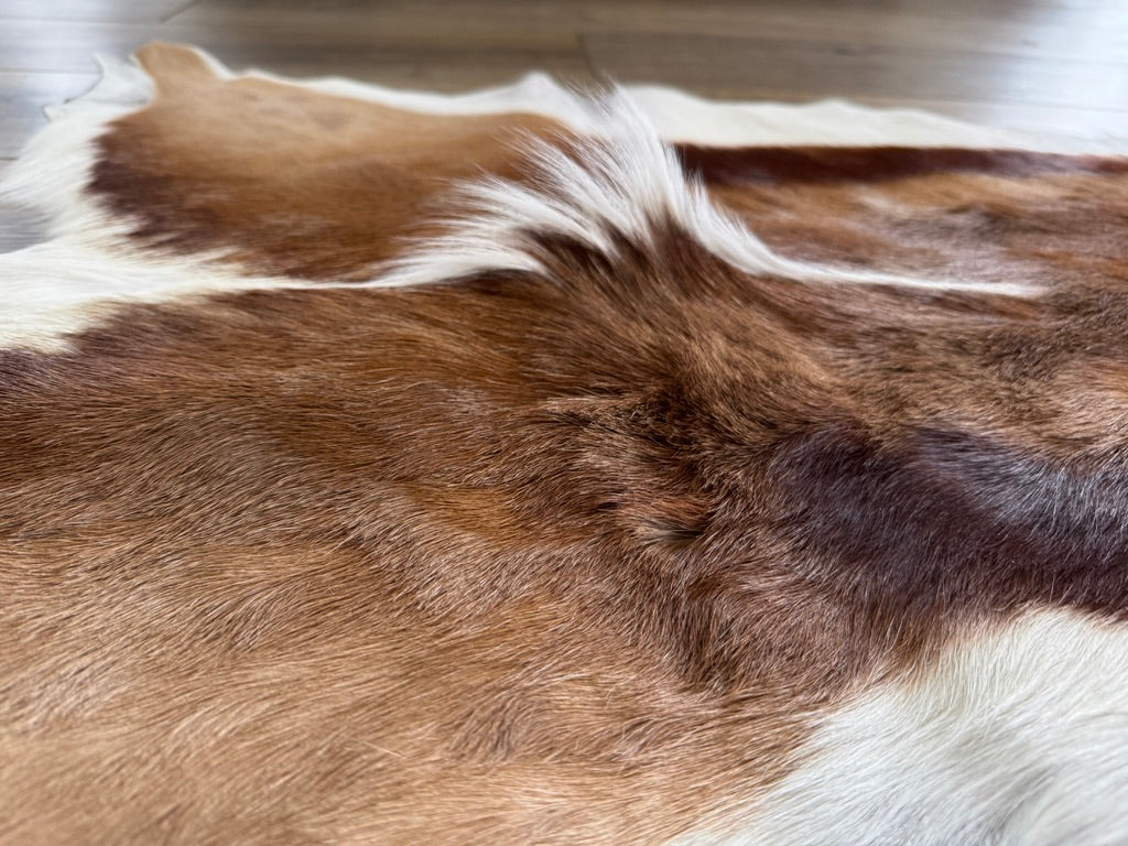 Close up of Authentic Springbok Deer Hide - Your Western Decor