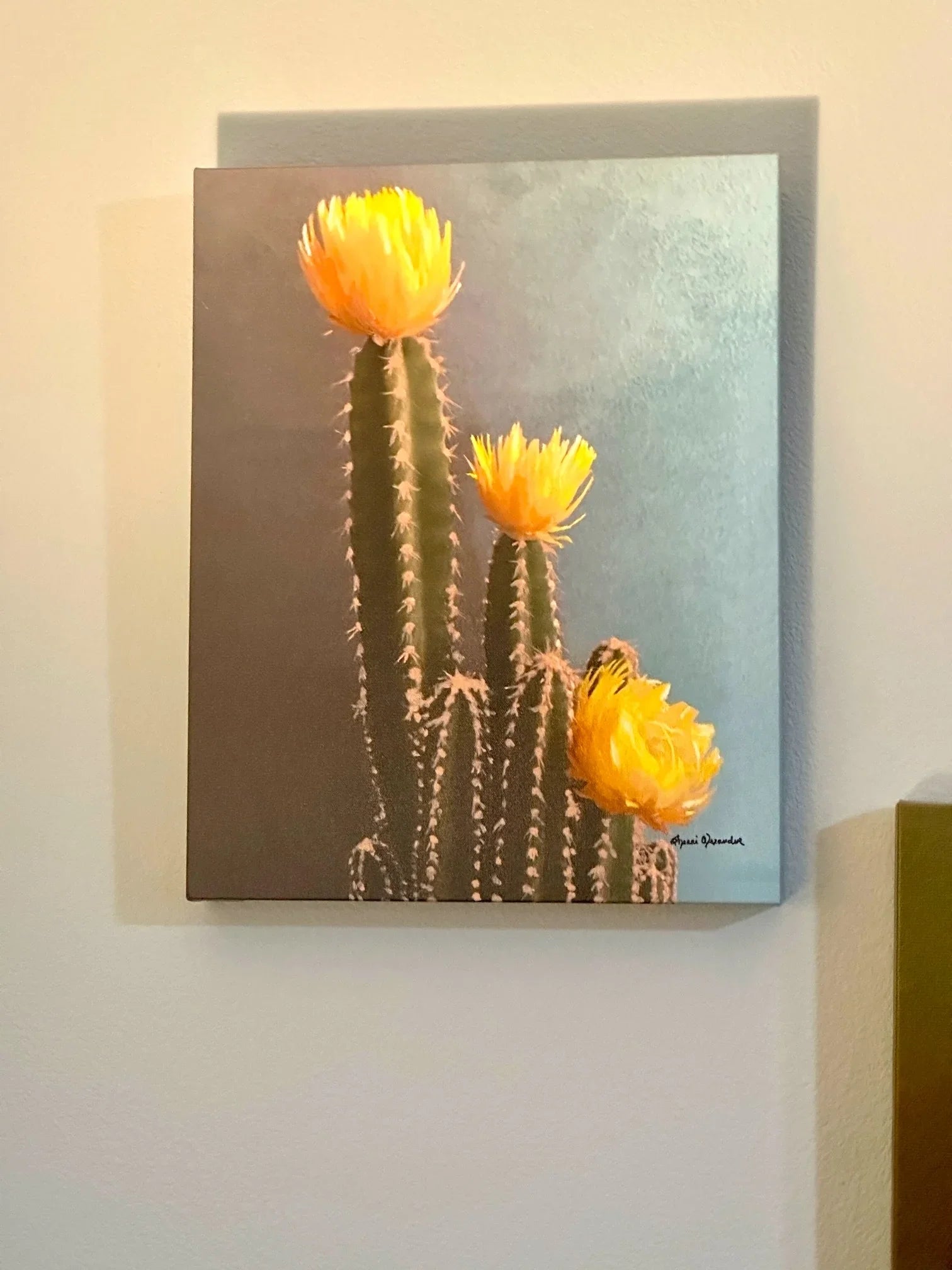 Canvas print of a cactus with yellow flowers on a wall, art by Sherri Alexander - Your Western Decor