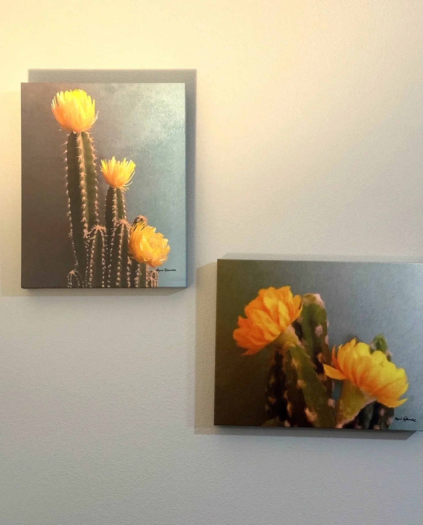 Two wall art prints of cacti with yellow flowers on a light gray wall. Art by Sherri Alexander - Your Western Decor