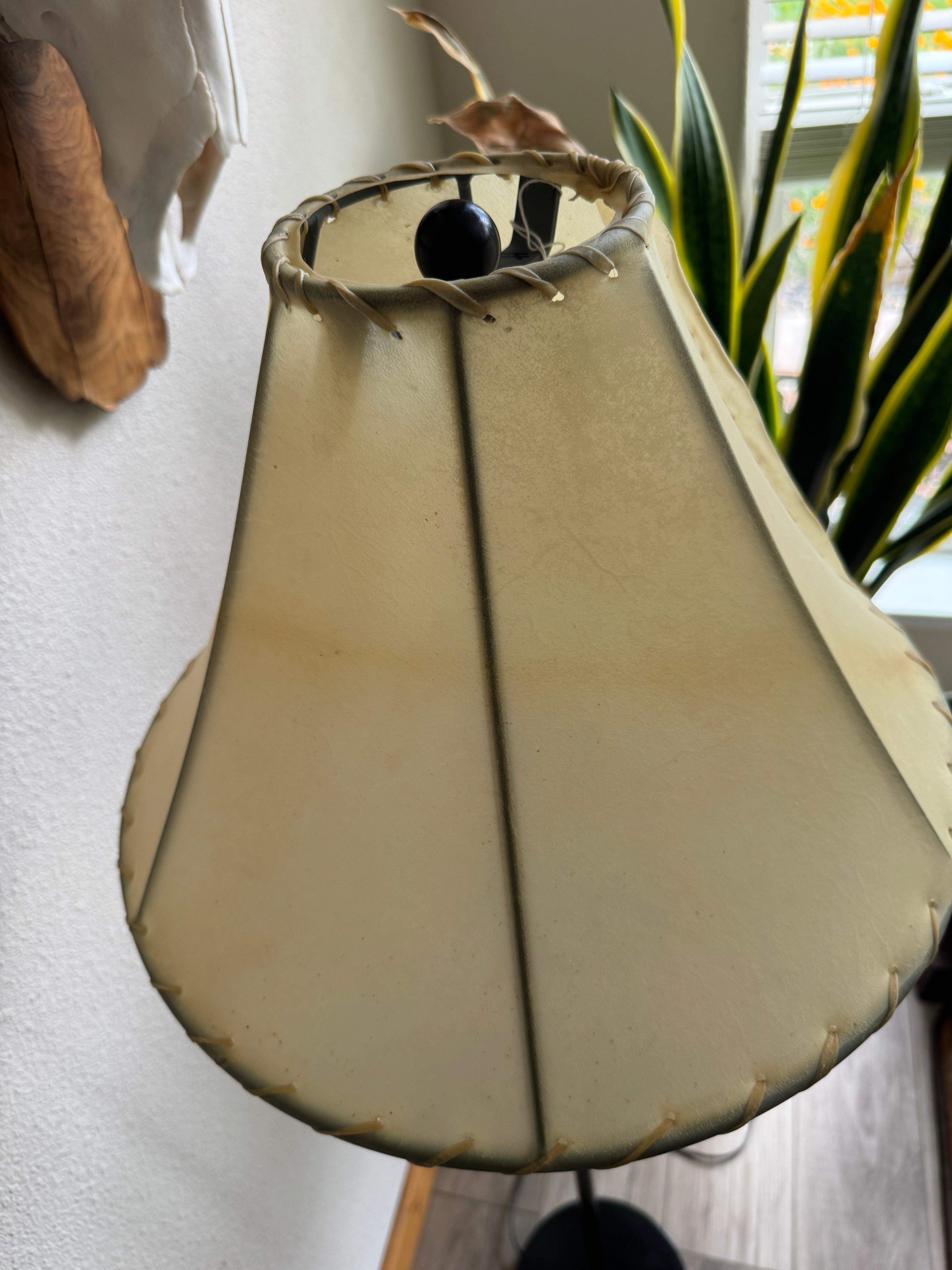 Top view of natural rawhide lamp shade