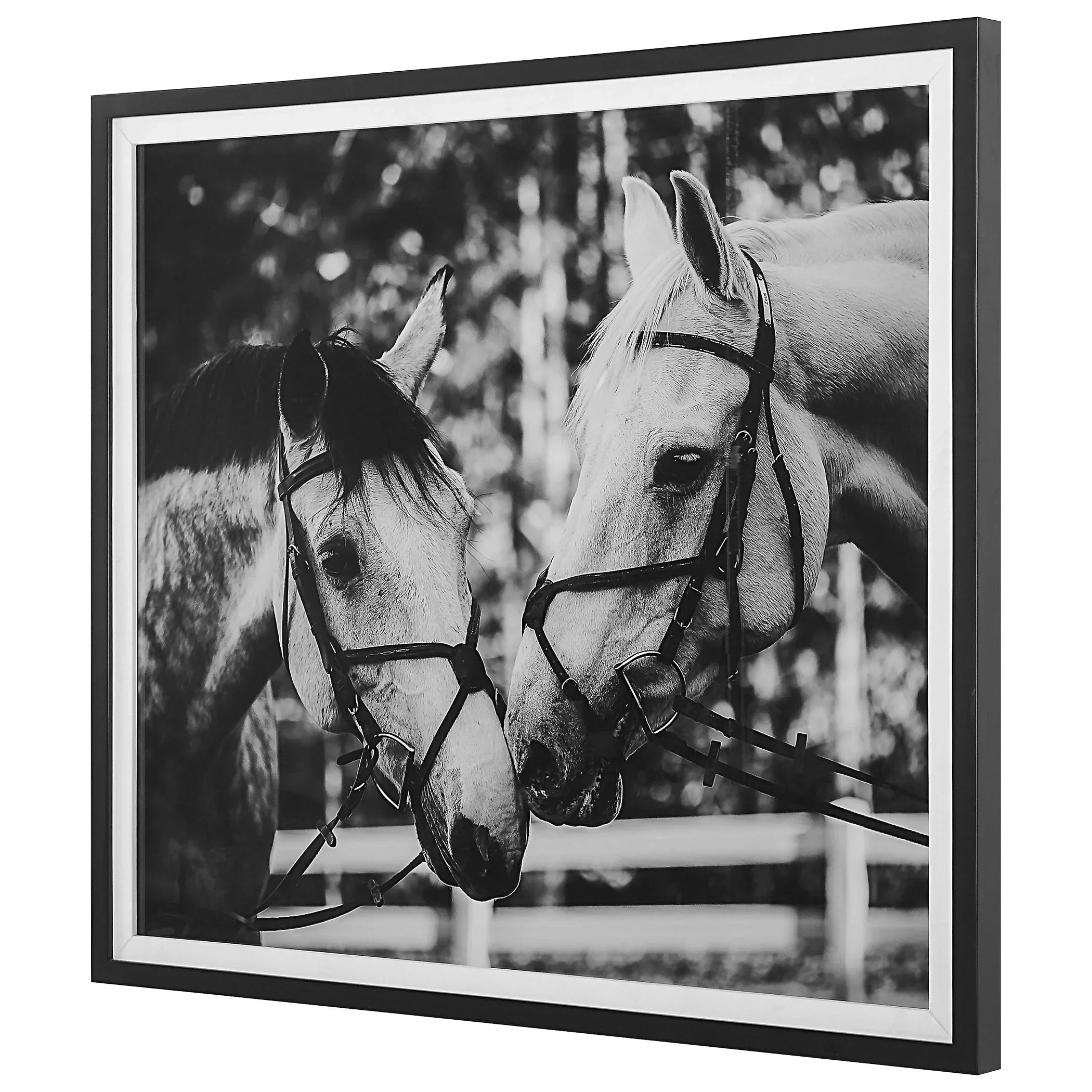 Dapple Of My Eye Horse Art black and white - Your Western Decor