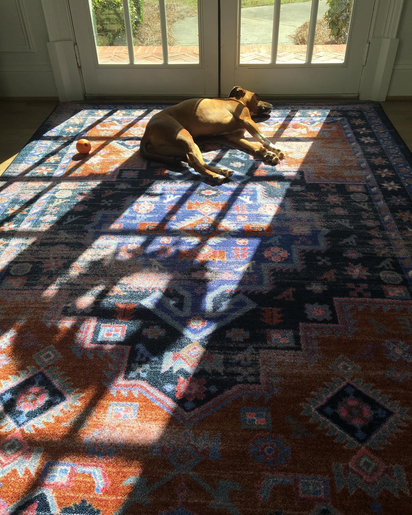 Turkish Nights Area Rugs - Multi Purple Area Rug Your Western Decor, LLC