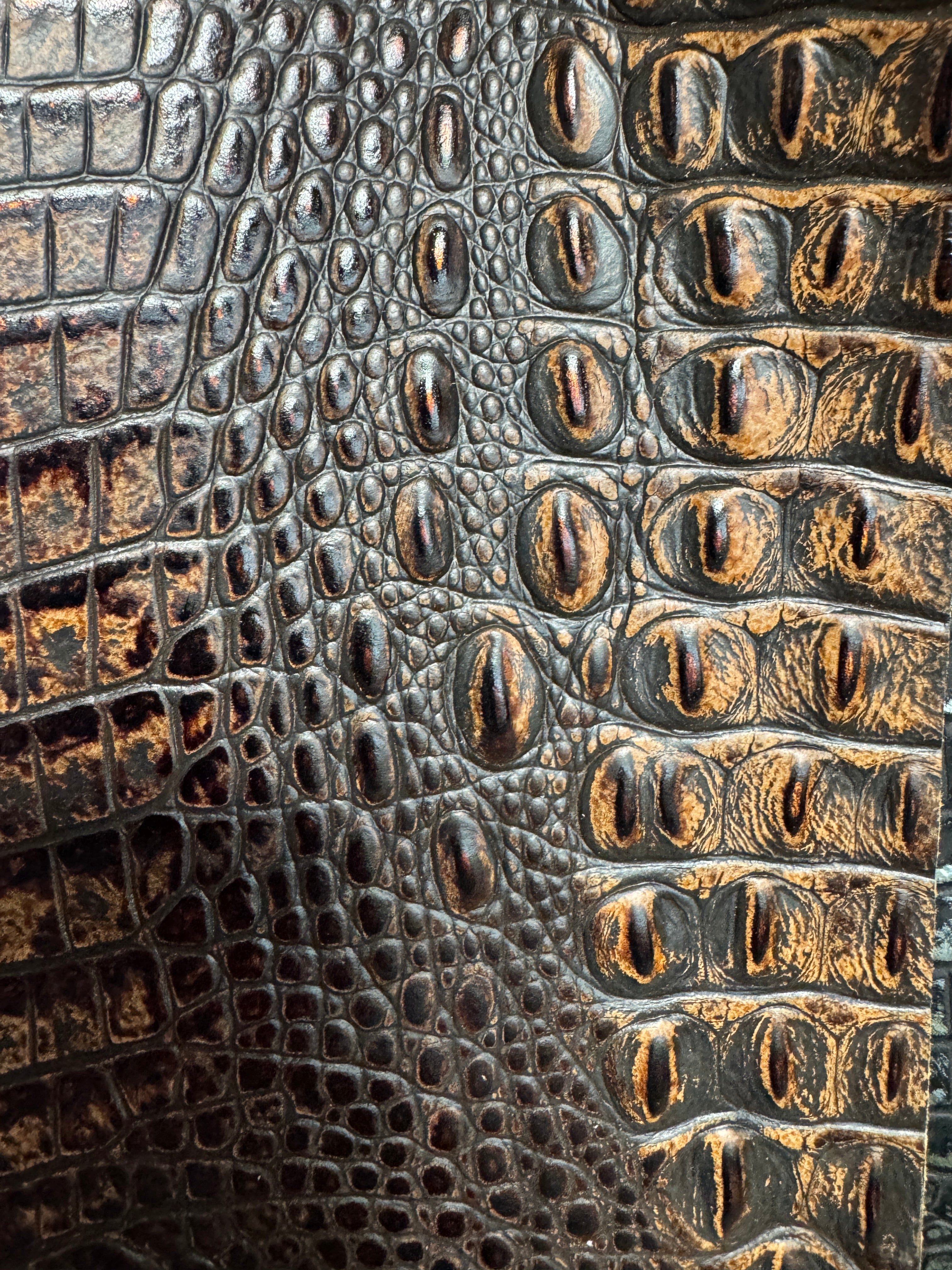 Close-up of crocodile skin with detailed texture