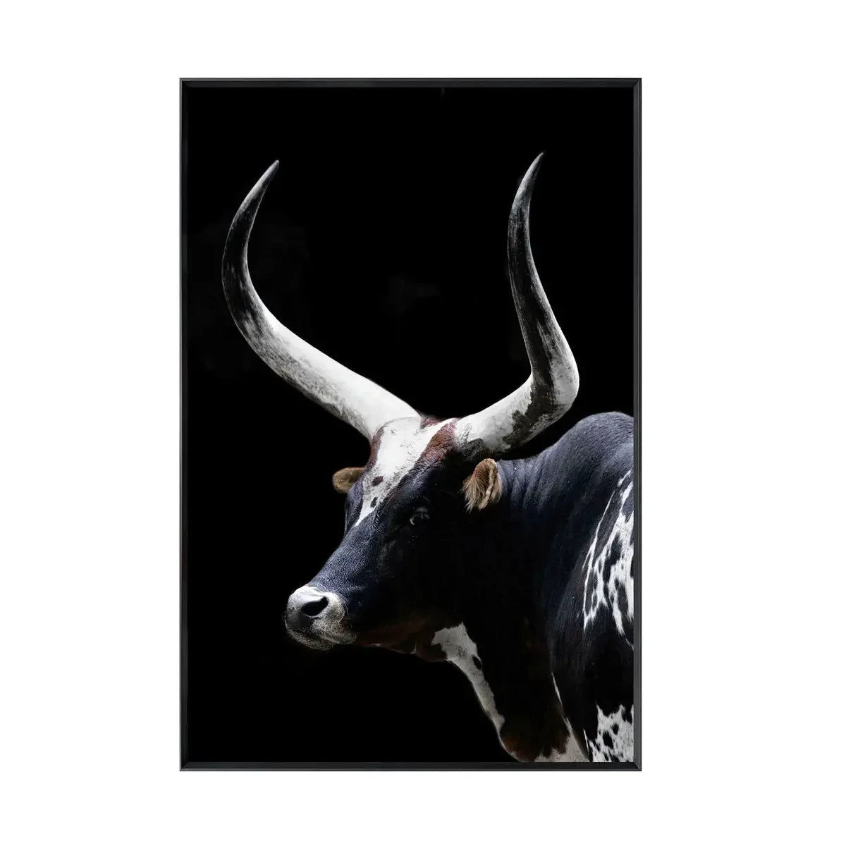 American Frontier Framed Watusi Bull Art, bull over a black background with black frame and tempered glass - Your Western Decor
