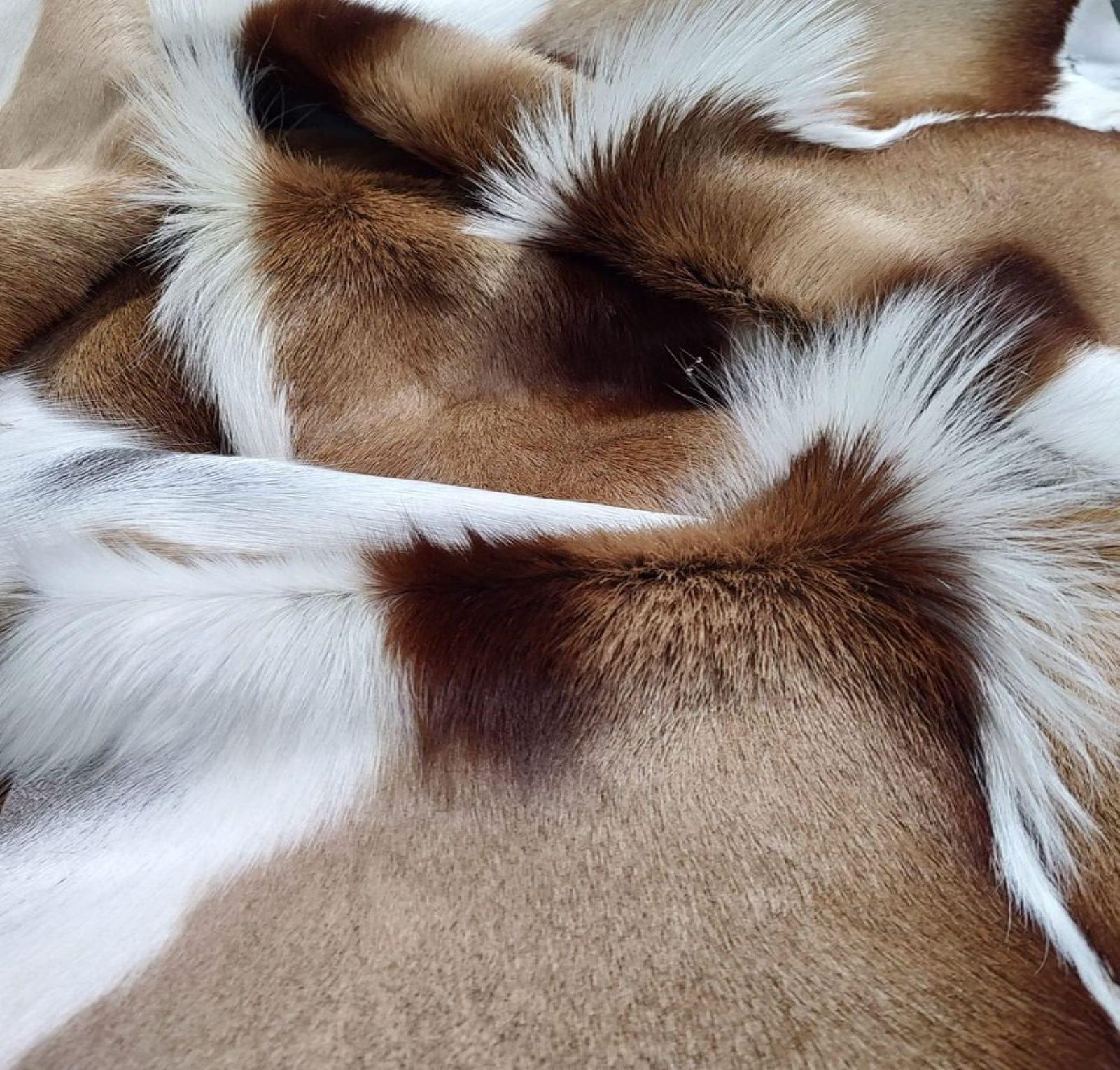 Springbok Hair on Hide - Your Western Decor