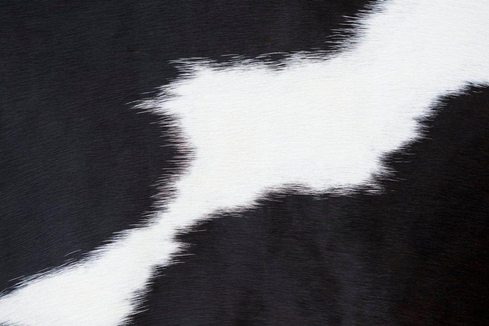 Black and white cowhide - Your Western Decor