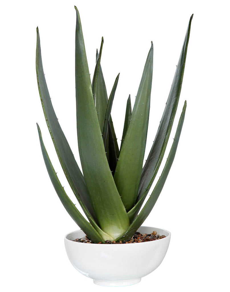 Evarado Faux Aloe Vera Plant - Your Western Decor