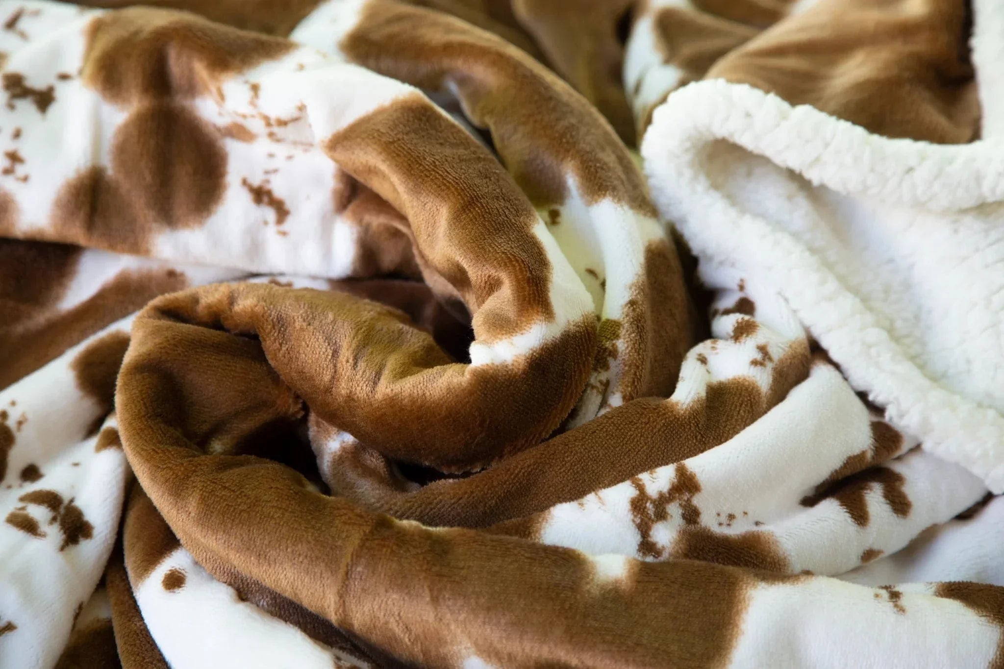 Faux Hair on Hide Sherpa Throw Blanket detail - Your Western Decor