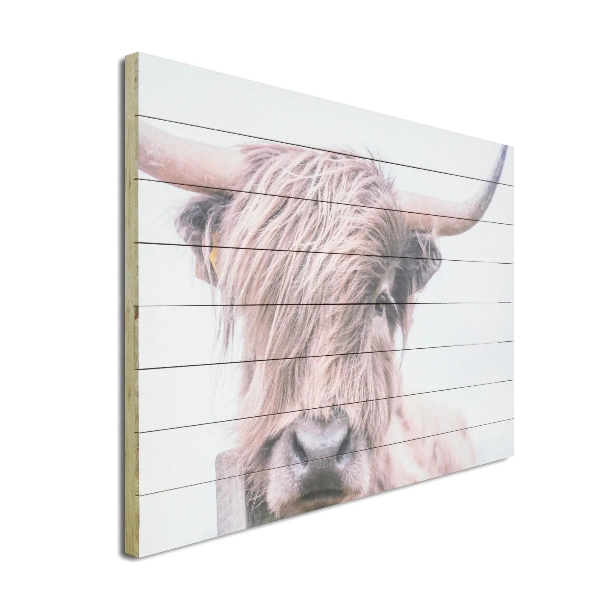 Highland Cow Wood Plank Wall Decor - Your Western Decor