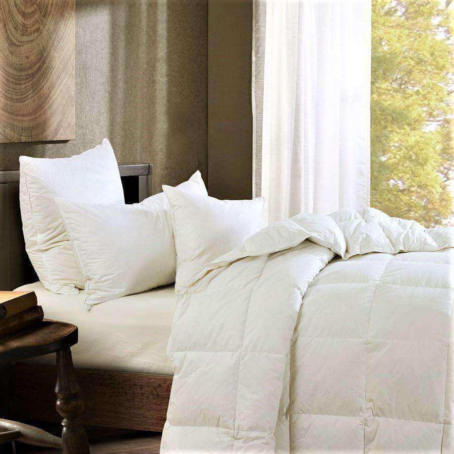 Pillow & Duvet Inserts