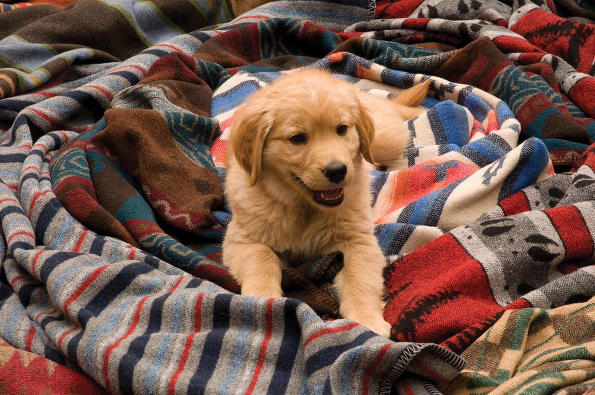 Western Throw Blankets | Southwestern & Rustic Throws – Page 3 – Your ...