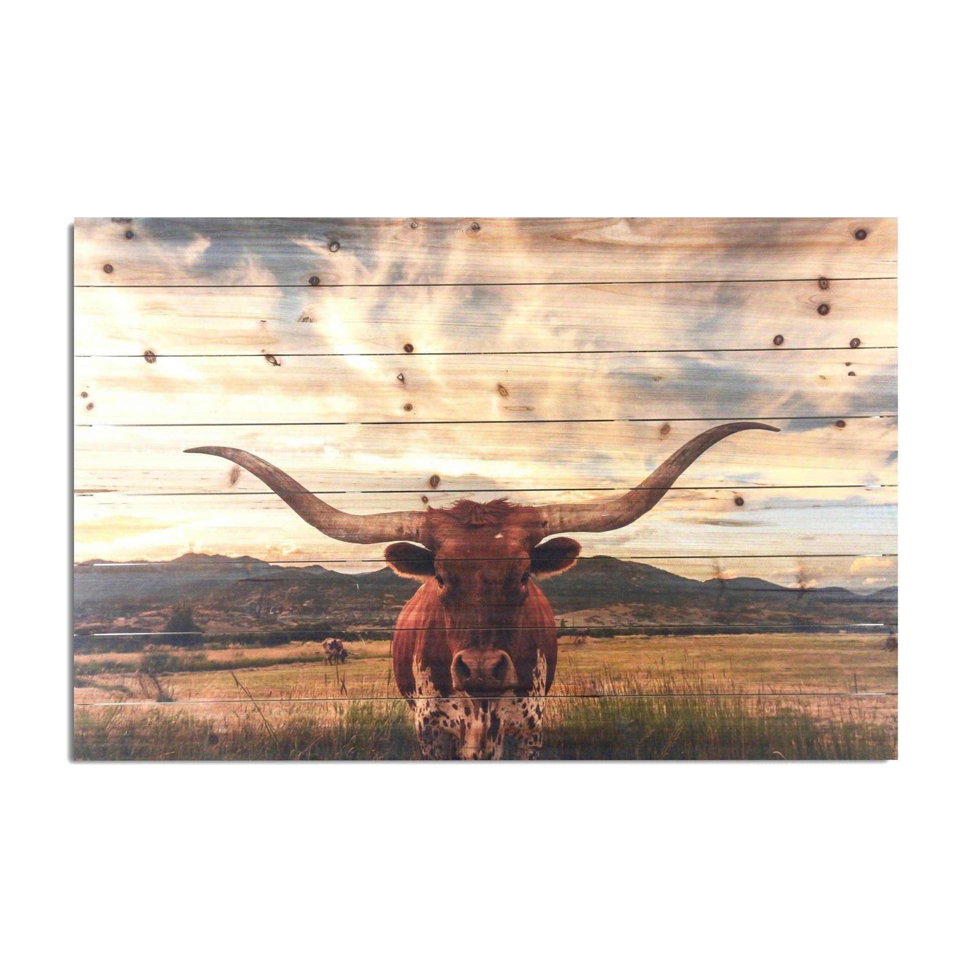 Texas longhorn steer in open pasture print on wood plank wall decor