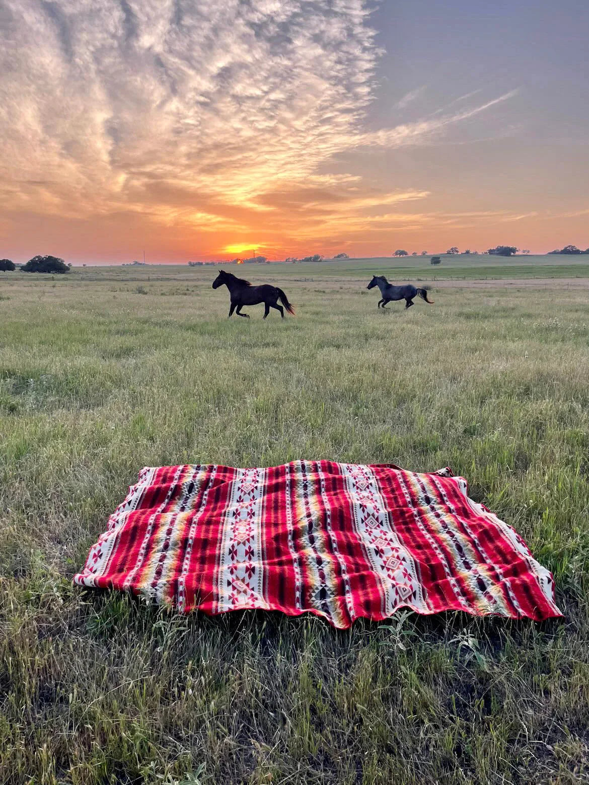 Coachella Desert Critters Blanket 藤井風　XG Coachella Desert Critters Blanket 藤井風 XG Coachella Desert