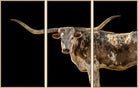Longhorn art with black background, 3 pieces - Your Western Decor