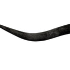 Black Stalker Carved Longhorn Mount Carved Detail - Your Western Decor