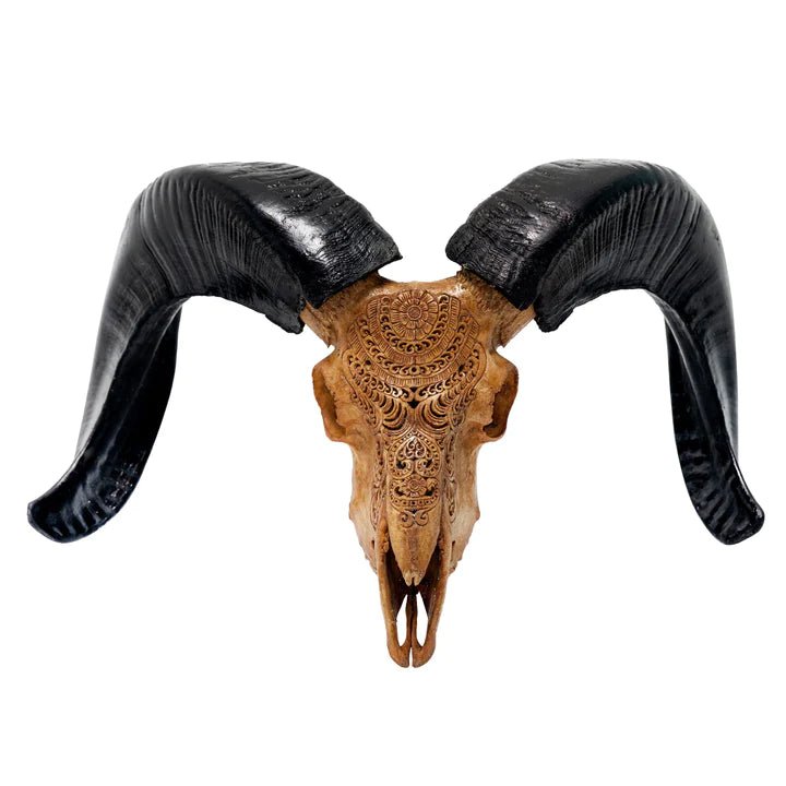 Chantilly Carved Ram Skull in antiqued finish - Your Western Decor