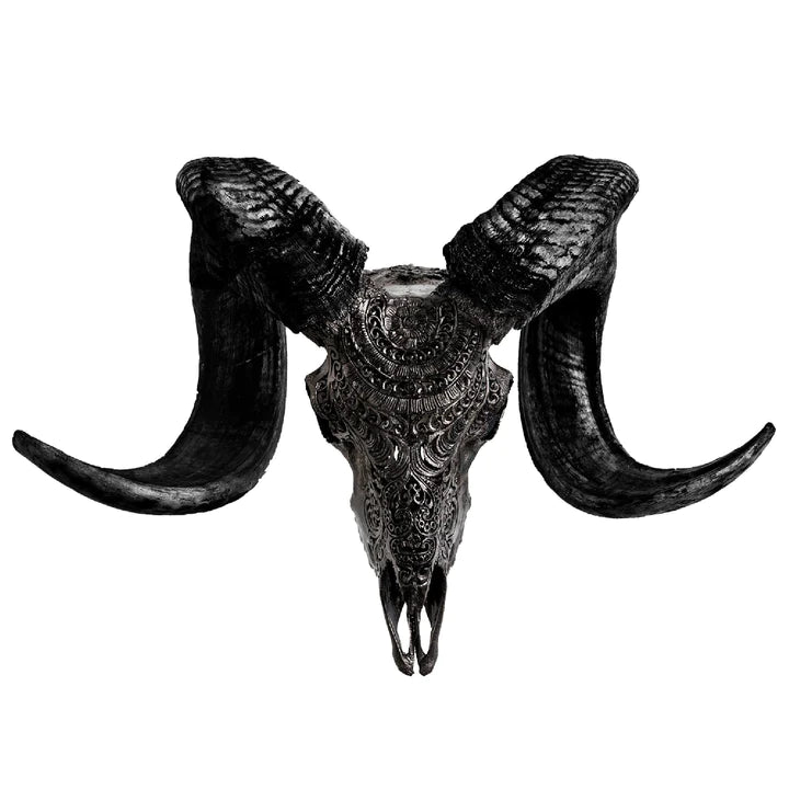 Chantilly Carved Ram Skull in black finish - Your Western Decor