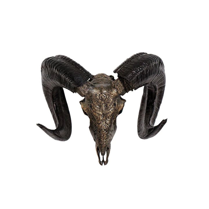 Chantilly Carved Ram Skull in bronze finish - Your Western Decor