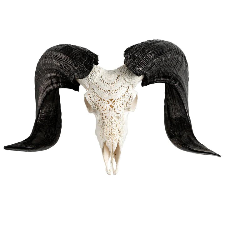 Chantilly Carved Ram Skull in white finish - Your Western Decor