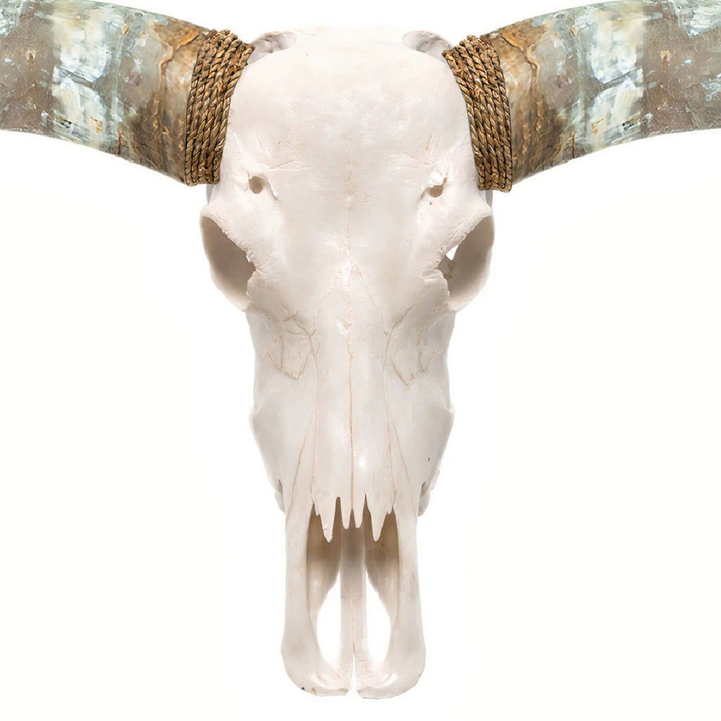 Classic White Longhorn Skull - Your Western Decor