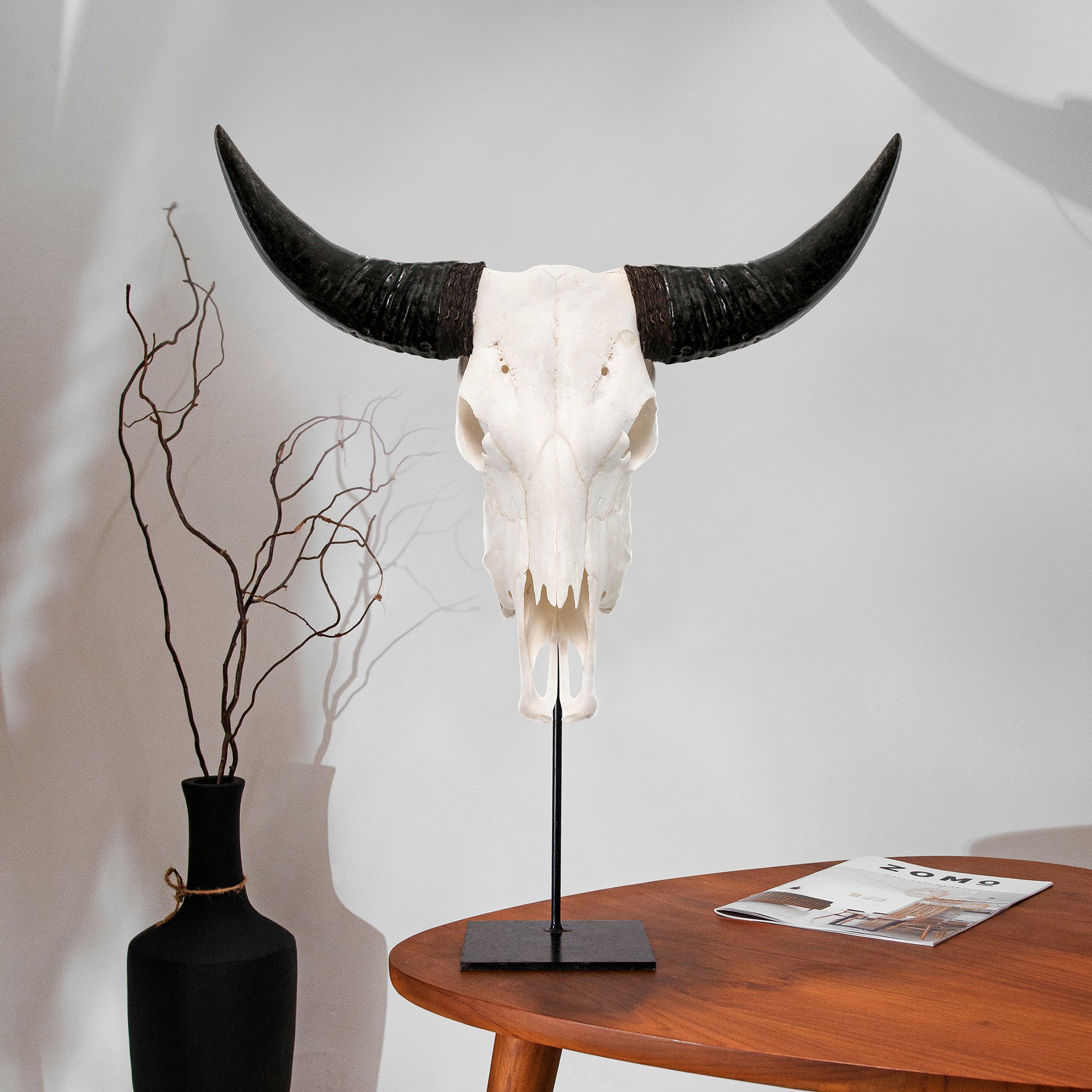 Classic White Steer Skull - Your Western Decor