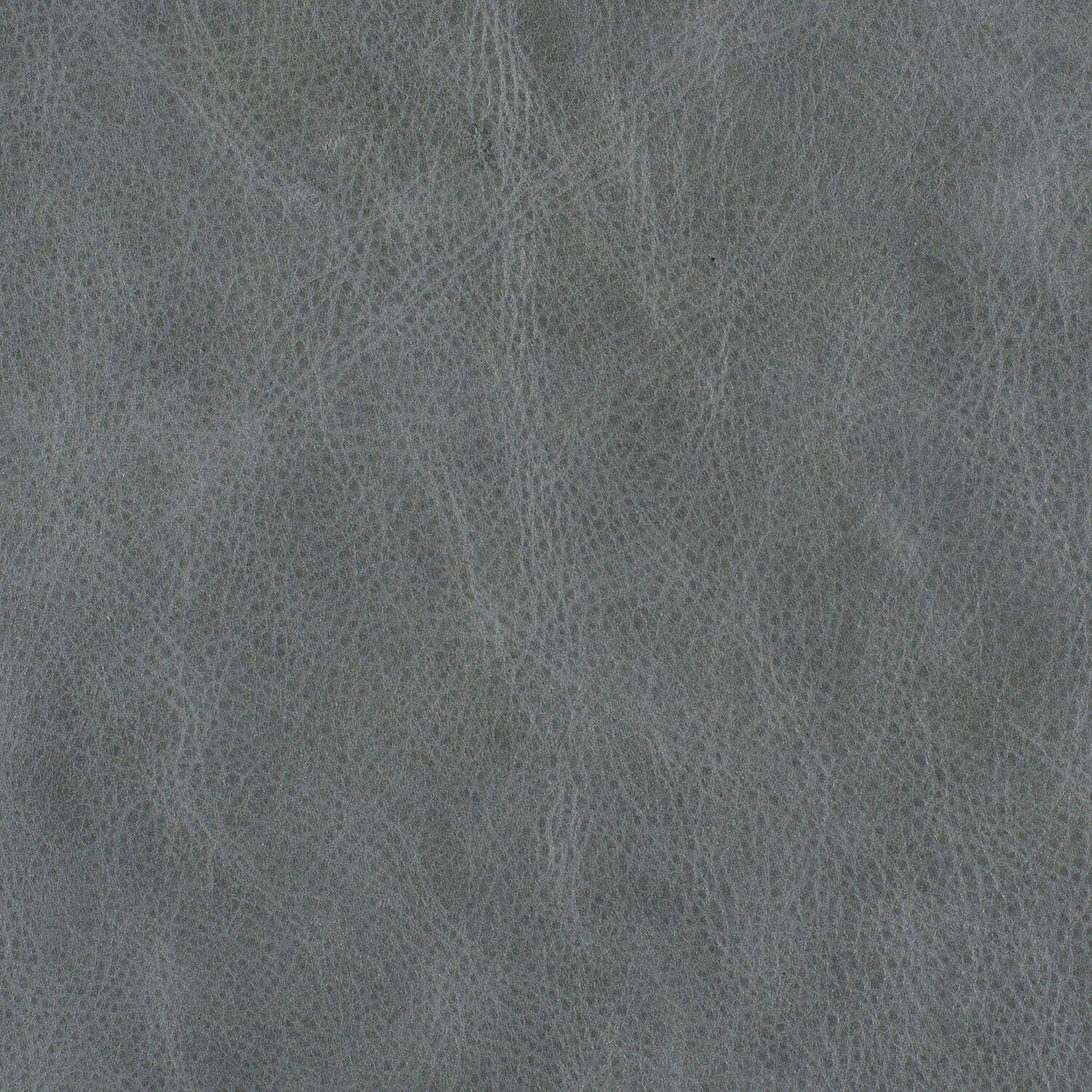 eastwood ash leather sample 