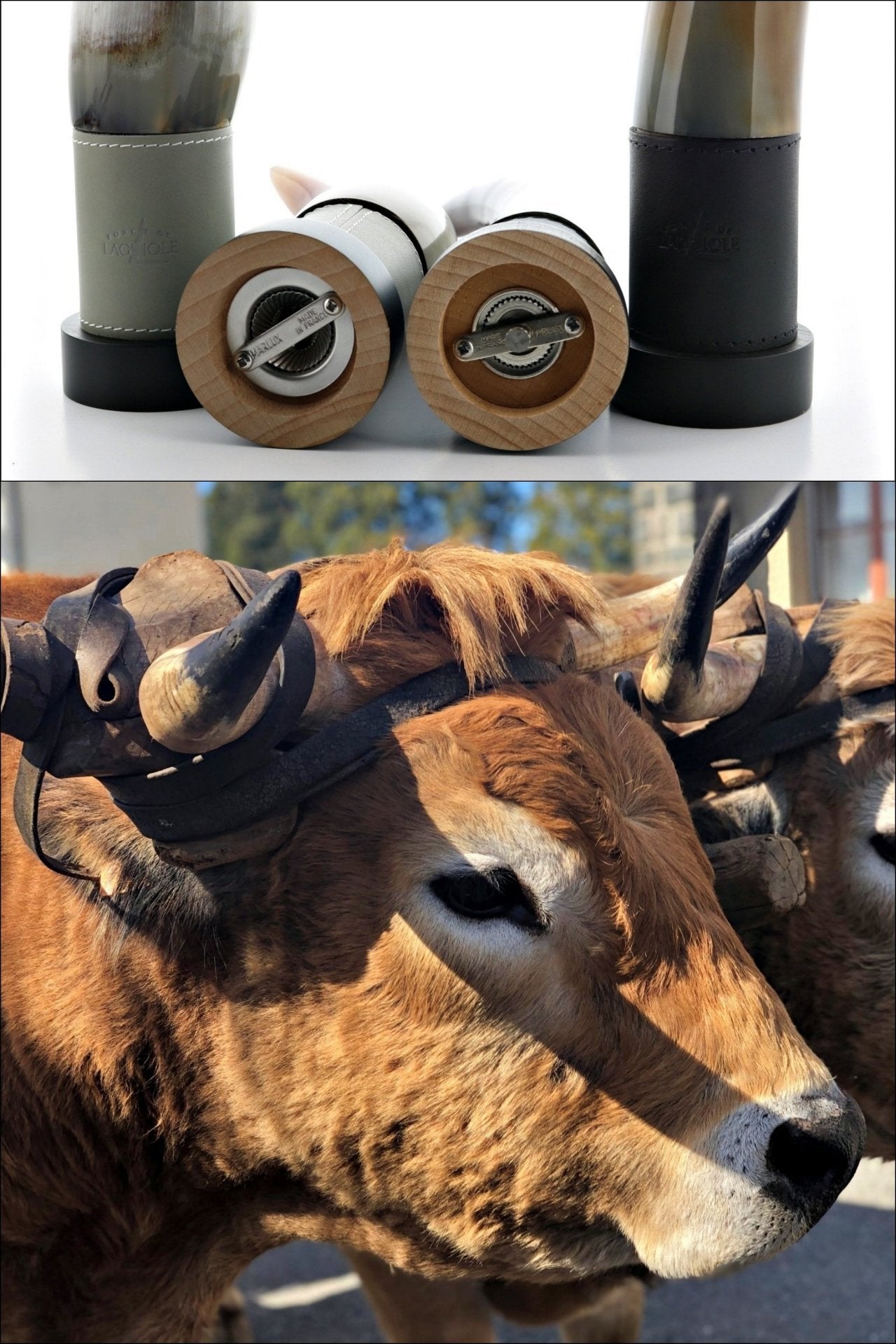 Cattle horn and leather salt and pepper grinders - Your Western Decor