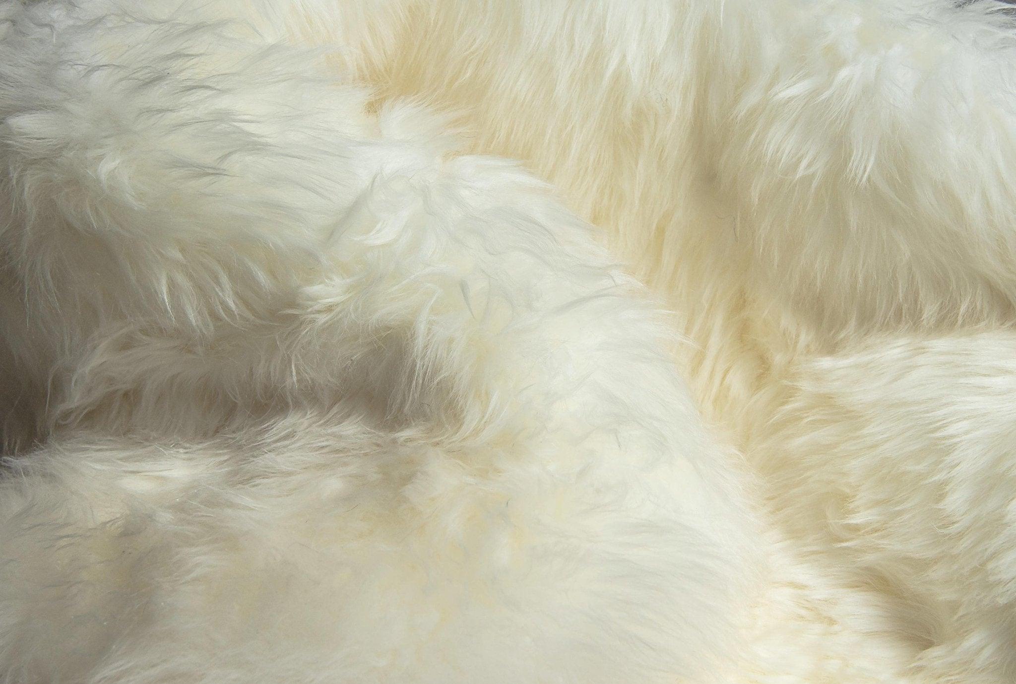 New Zealand Sheepskin Wool Accent Rug Pile. Your Western Decor