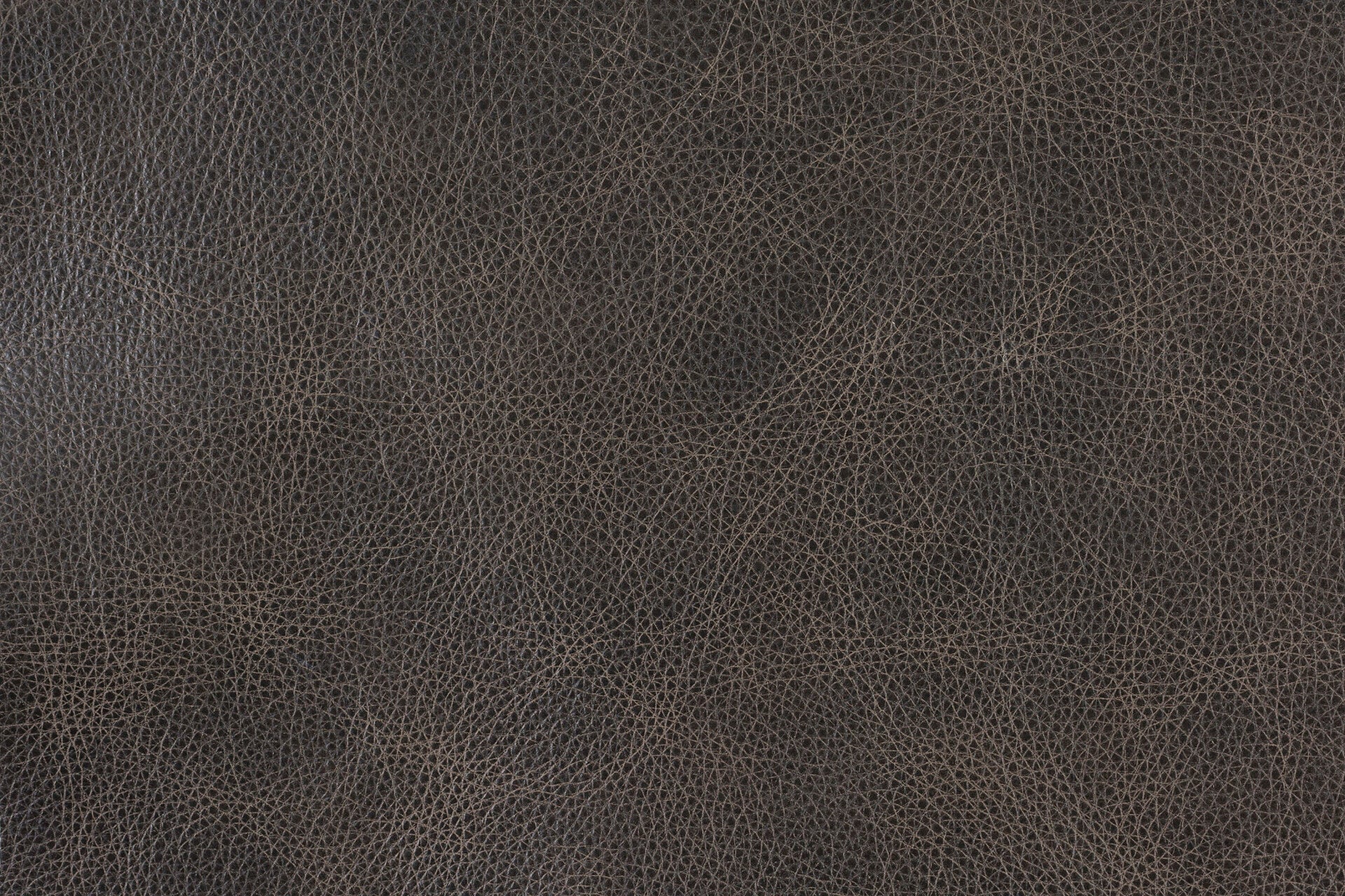 Hercules Iron Gate leather sample - Your Western Decor