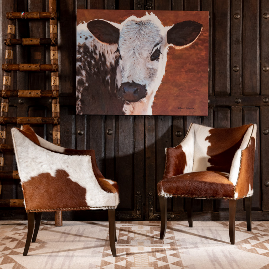 Western home discount decor