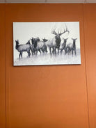 Elk herd art in Woodgrain, Tony's office Pilot Rock, OR - Your Western Decor