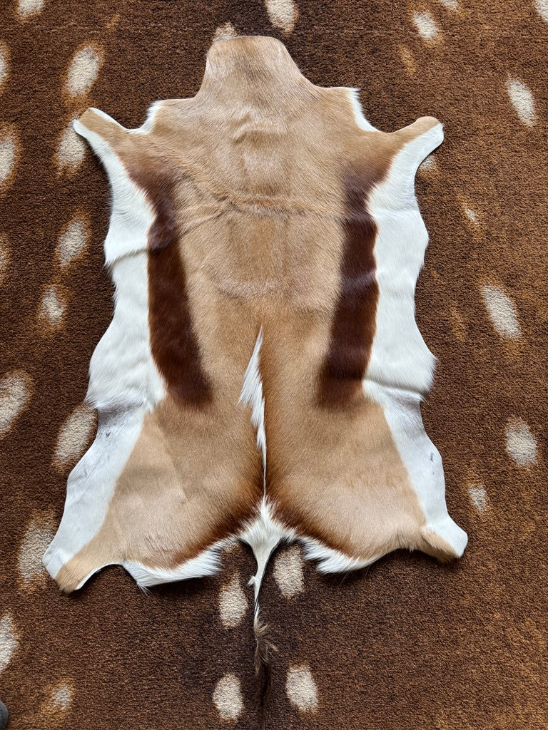 Authentic Impala Deer Hide - Your Western Decor