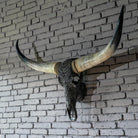 Boho Carved Longhorn Skull - Your Western Decor