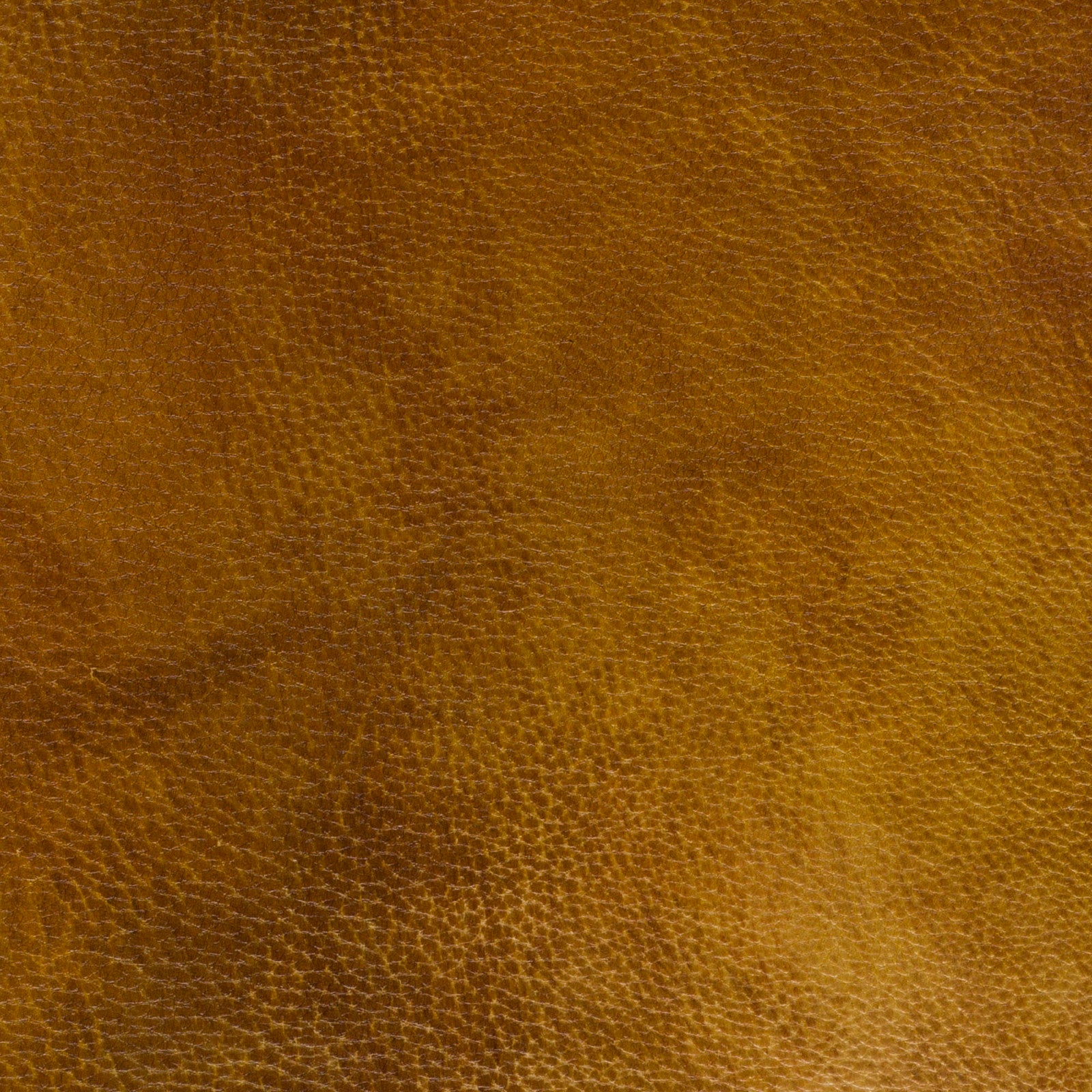 Close up detail of Rooney Canyon leather sample 