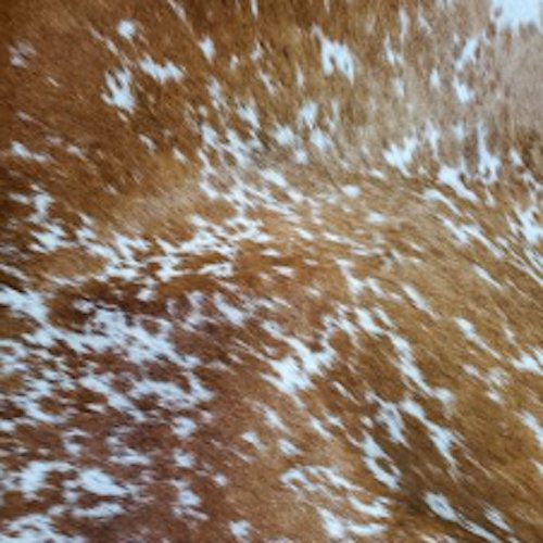 Longhorn Orange Hide • Your Western Decorating