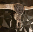 Longhorn Skull Carved Horns - Your Western Decor