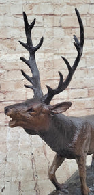 Bronze bull elk sculpture - Your Western Decor