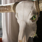 Classic White Longhorn Skull - Your Western Decor