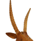 dimensional teak wall art antelope head mount, antler detail 