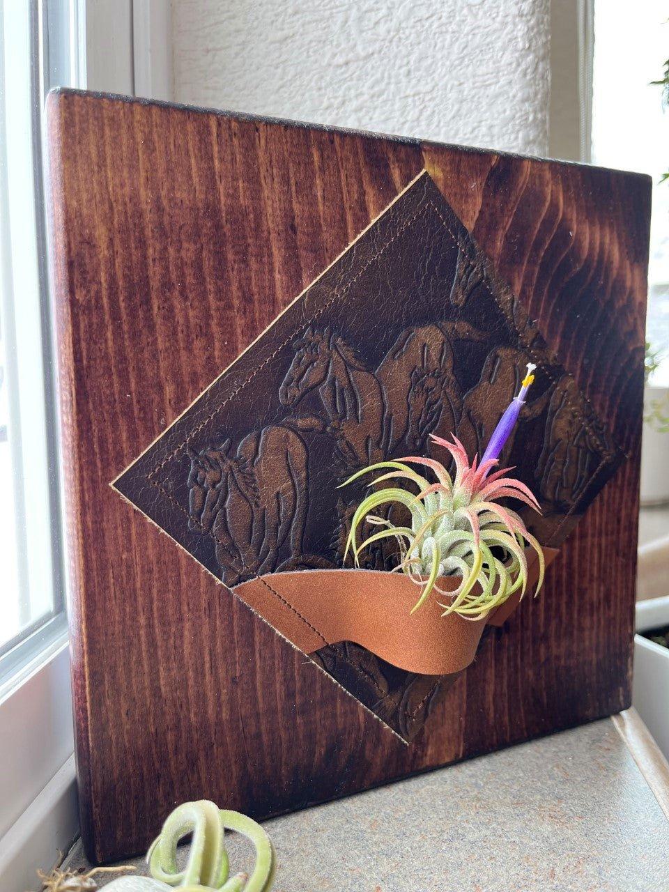 Running Horses Air Plant Desk Plaque custom handmade in Oregon by Your Western Decor