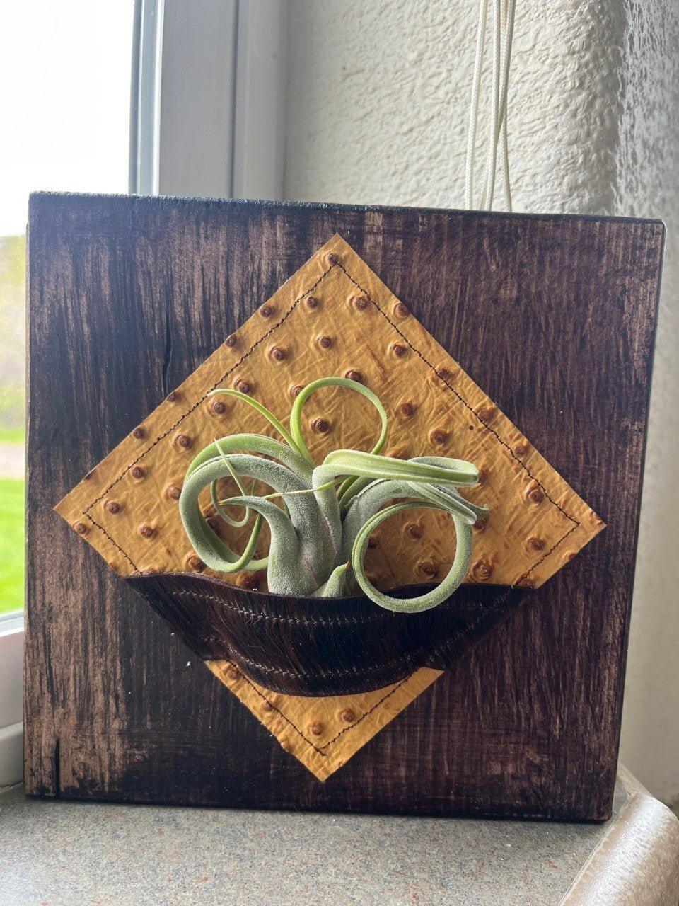 Custom made embossed leather and cowhide air plant desk plaque custom handmade in Oregon from Your Western Decor