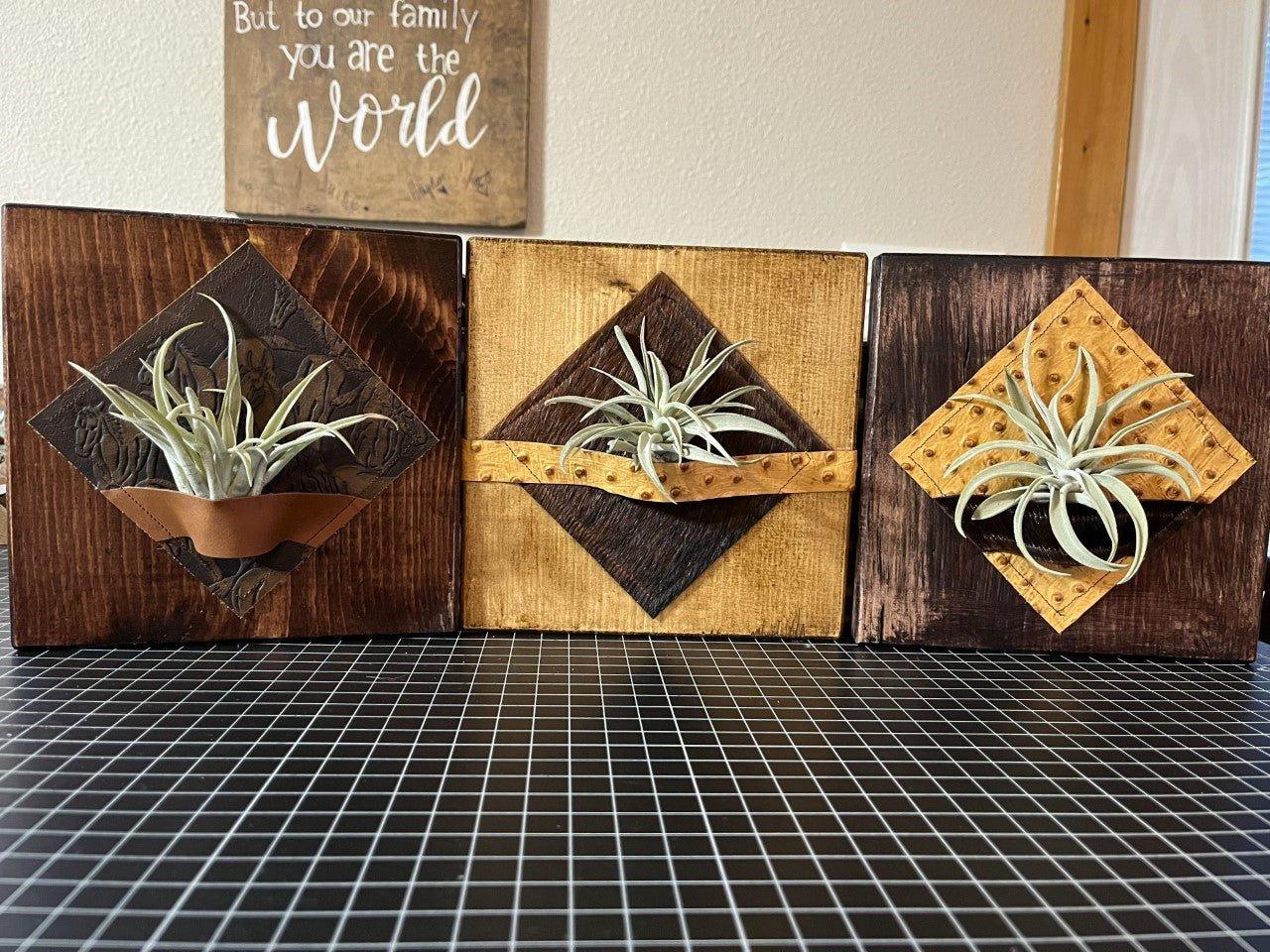 Leather and cowhide decorative air plant holder desk plaques custom made to order from Your Western Decor