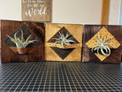 Leather and cowhide decorative air plant holder desk plaques custom made to order from Your Western Decor