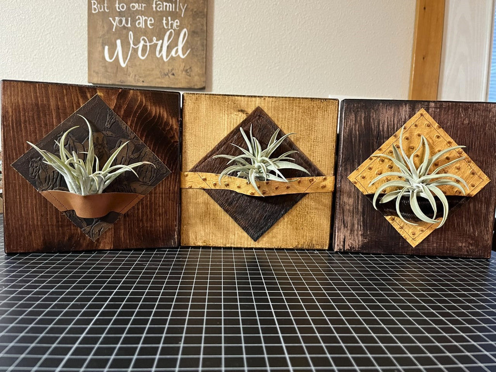 Leather and cowhide decorative air plant holder desk plaques custom made to order from Your Western Decor