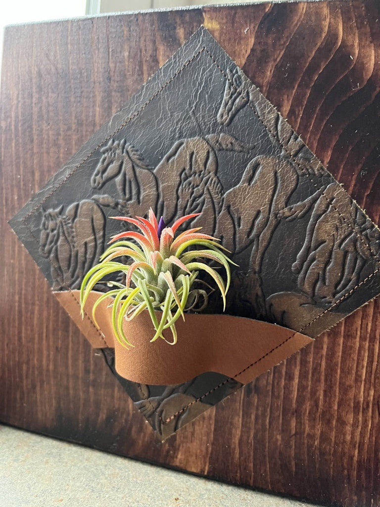 Running Horses Air Plant Desk Plaque custom handmade in Oregon by Your Western Decor